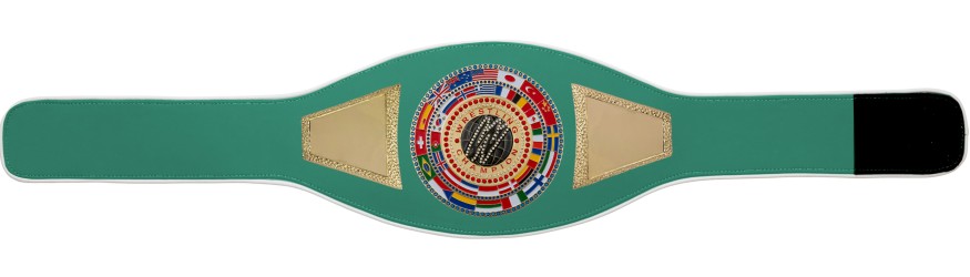 WRESTLING CHAMPIONSHIP BELT PROFLAG2/FLAG/G/WRESTGEM - VARIETY OF LEATHER COLOURS AVAILABLE WRESTLING CHAMPIONSHIP BELT PROFLAG2/FLAG/G/WRESTGEM - VARIETY OF LEATHER COLOURS AVAILABLE
